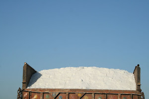Salt Back