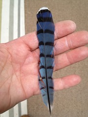 IMG_2477 IMG_2477
