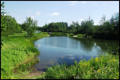 Gorham Mountain Hike 110