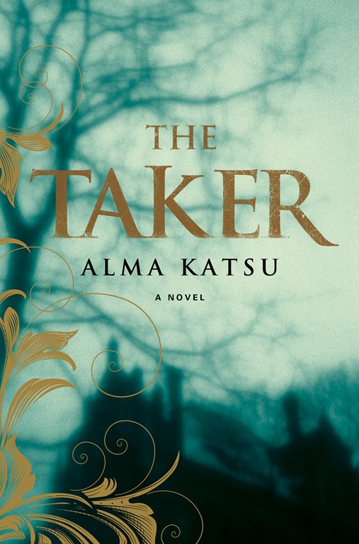 [the-taker-hard-cover5.jpg]