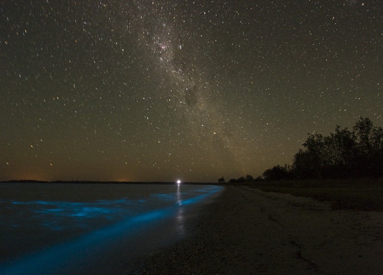 Hồ Gippsland (Úc) với làn nước phát ánh sáng xanh kỳ ảo Bioluminescence8%25255B3%25255D