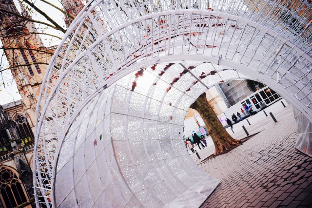 cool dome.jpg cool dome