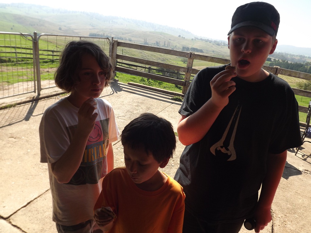 [DSCF16696.jpg]