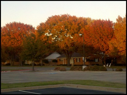 2011-11-30_17-10-14_208