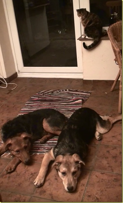 20120128194740(2)
