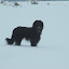 DSC_9906.JPG