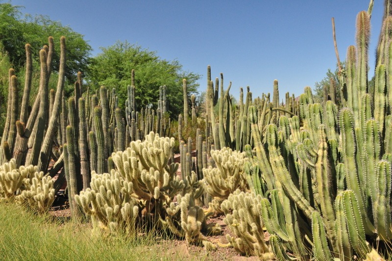 [qlandscape%2520%25284%2529%255B3%255D.jpg]