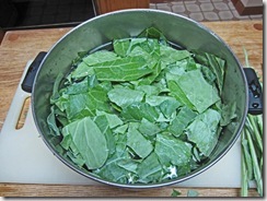 steaming collards