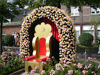 Pink roses, the rose festival 2010.