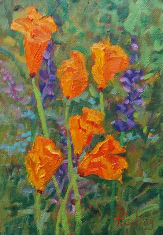 [Poppy%2520and%2520Lupine%25205x7in%2520CrystalHarling%255B3%255D.jpg]