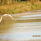IMG_5801.JPG