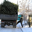 снежная зима 08-09 года (16).JPG