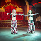 Имя документа33_115.jpg