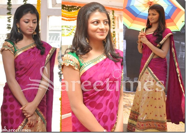 Rakshita_Halh_Saree