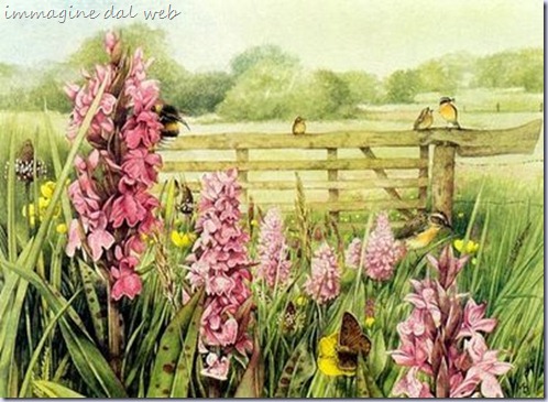 marjolein_bastin marjolein_bastin