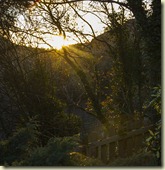 11.Leap - West Cork 11.Leap - West Cork
