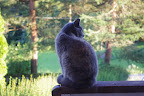 IMGP0029.JPG