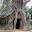 Cambodge- Angkor