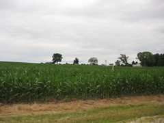 [IMG_19223.jpg]