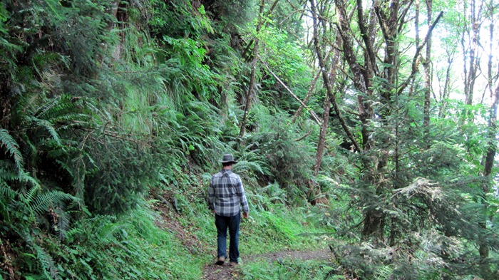 Oregon coast trail