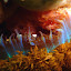 Corail mou