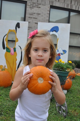 DSC_0348 DSC_0348