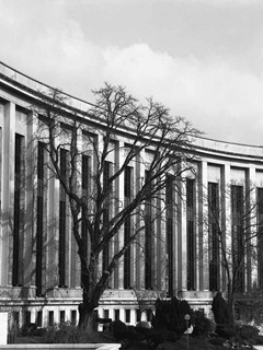 Film-120-#17--9