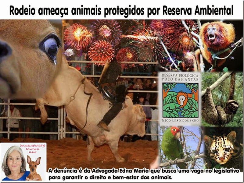 rodeio_reserva