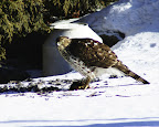 dsc03821_v2.jpg