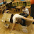 DSC01978.JPG