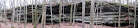 12.23.11 stitch.jpg