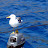 DSC01585.JPG