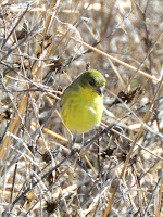 DSC_7698.jpg