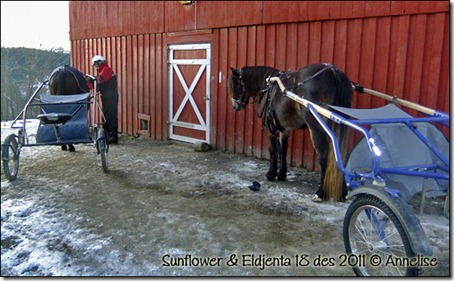 sun-eldjenta18des_01