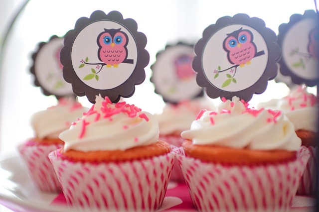50 baby shower cupcakes