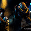 kistehen-5140643.jpg