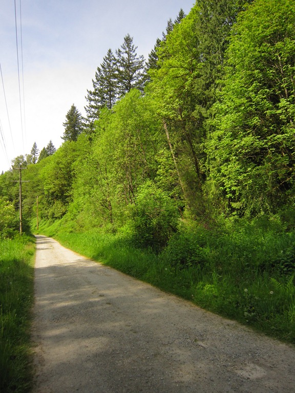 [IMG_7259%255B4%255D.jpg]
