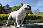 Ah, how I love basking in the sun on a beautiful day!
