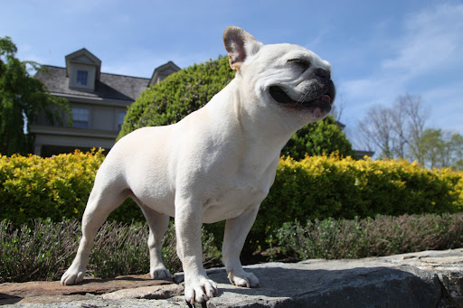 Ah, how I love basking in the sun on a beautiful day!