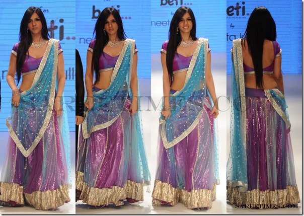 Nishika_Lulla_Designer_Sari