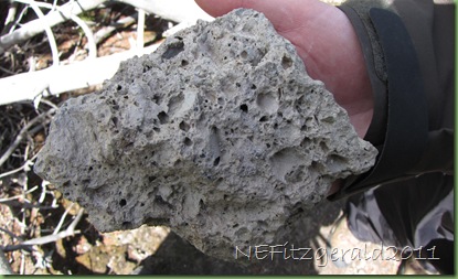 DuckLakePumice DuckLakePumice