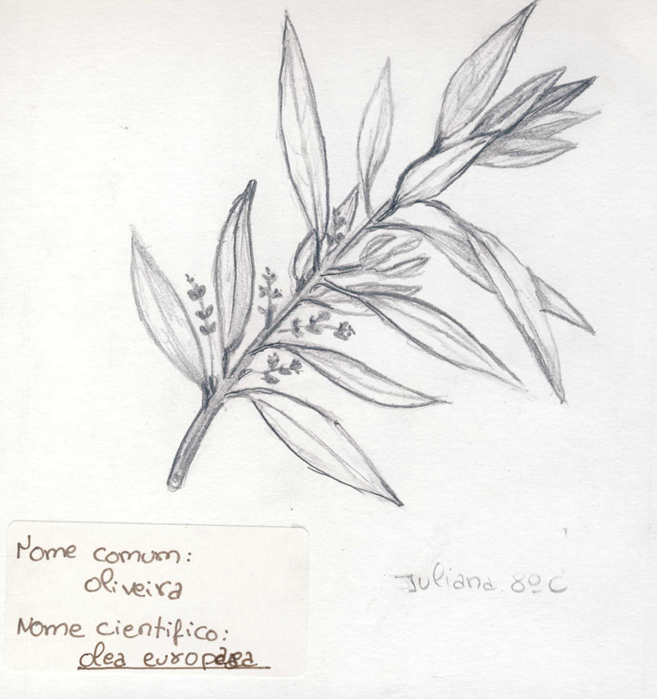 [image%255B33%255D.png]