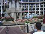IMG00292-20090806-1449.jpg