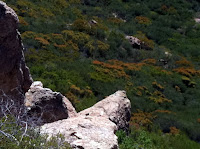 cliffs looking down Photo