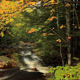 Fall Along The Little Carp River / Porcupine Mountains State Park / Upper Michigan