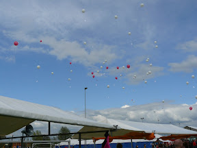 P1000516.JPG