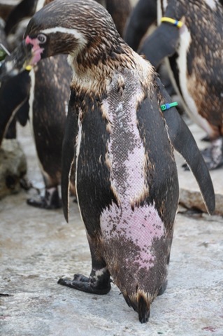 [DSC_0481%255B3%255D.jpg]