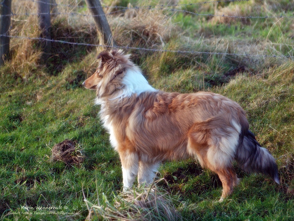 [P1011904RC3.jpg]