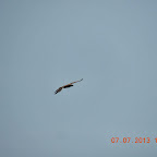 DSCN9670.JPG
