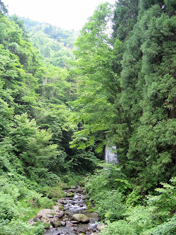 イノシシ滝